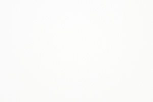 Plain white textured background.